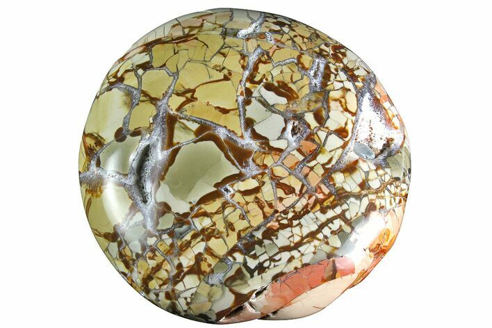 Polished Ibis Jasper Palm Stone - Madagascar #181603